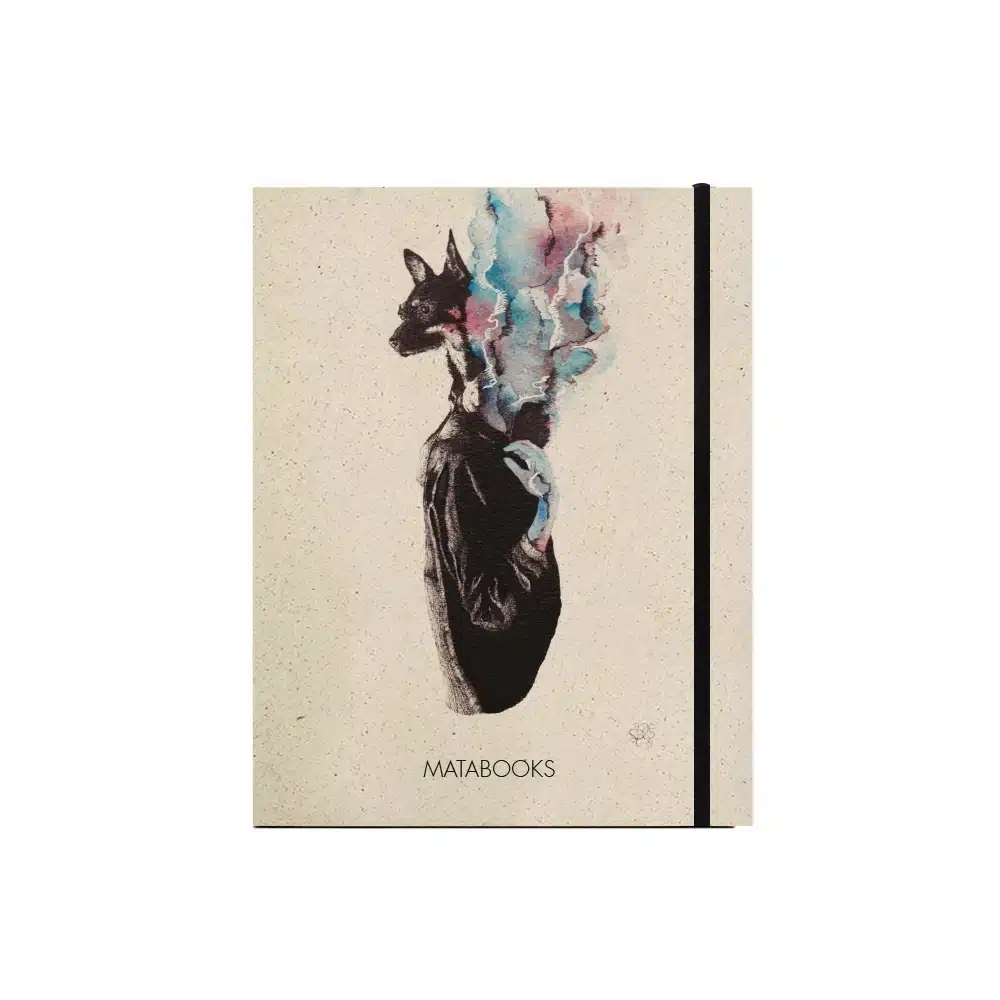 Swiss Brochure - Companion