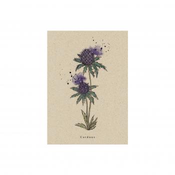 Postkarte aus Graspapier Wildflower Distel