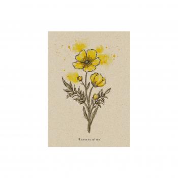 Postkarte aus Graspapier Wildflower Hahnenfuss