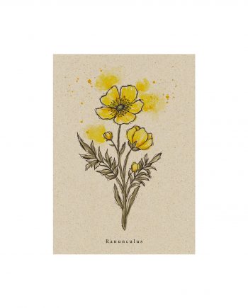Postkarte aus Graspapier Wildflower Hahnenfuss