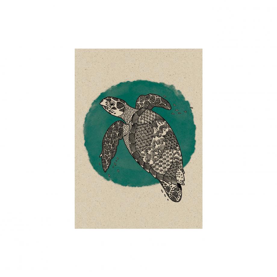 Postkarte aus Graspapier Wildlife Schildkröte