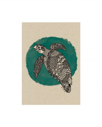 Nachhaltig und vegan produzierte Postkarte aus Graspapier von matabooks Schildkröte