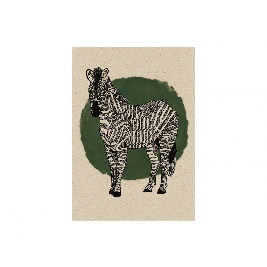 Nachhaltig und vegan produzierte Postkarte aus Graspapier von matabooks Zebra