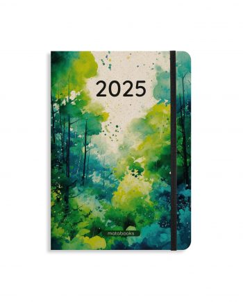 Nachhaltig und vegan produzierter Kalender/Jahresplaner/Terminplaner 2025, A5 aus Graspapier von matabooks mit Froschtasche, Lesezeichen, Gummiband und liebevoll illustrierten abstrakten Landschaften.