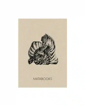 A6 Postkarte aus Graspapier – Zebra