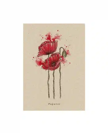 A6 Postkarte aus Graspapier – Mohn