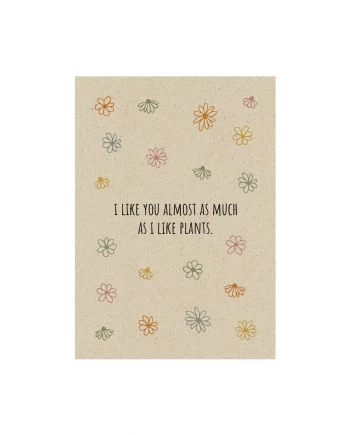 A6 Postkarte aus Graspapier – Flowers